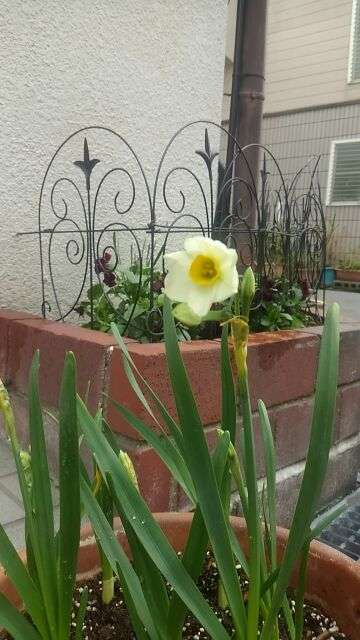 ひな祭りは邪気払い