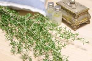 ローズマリー・カンファー