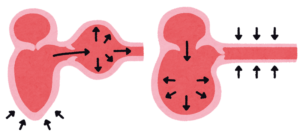 高血圧と自律神経