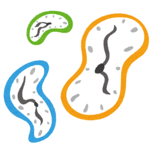 経絡と時間の関係