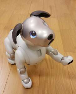 ロボットペットセラピー