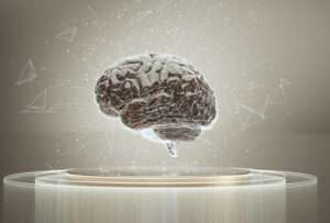 DLPFC（背外側前頭前野）