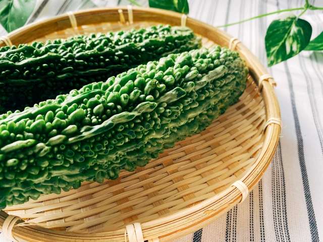 夏の養生（不眠・口が苦い）