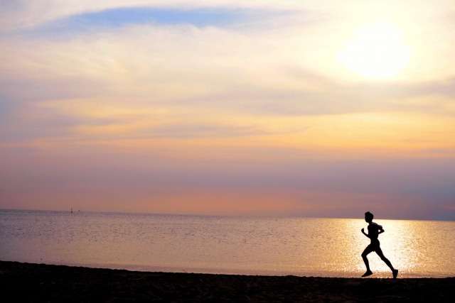 マラソンの冬『運動脳』