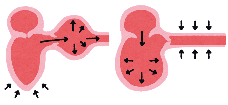 東洋医学でアプローチする高血圧(２)