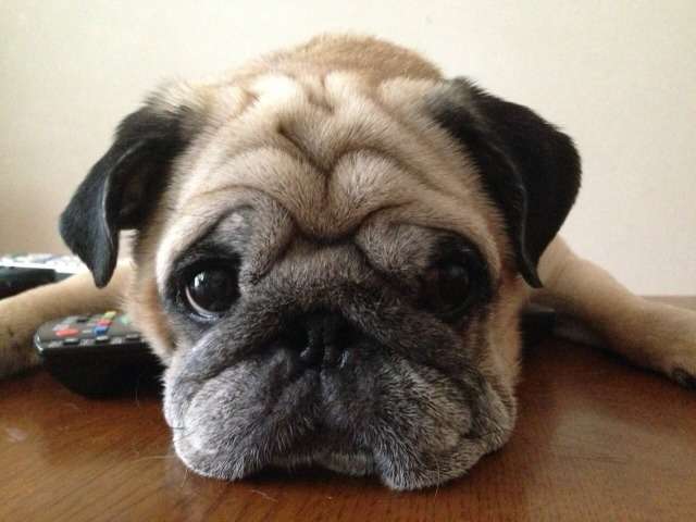 梅雨のだるさ・疲れは、脳から？