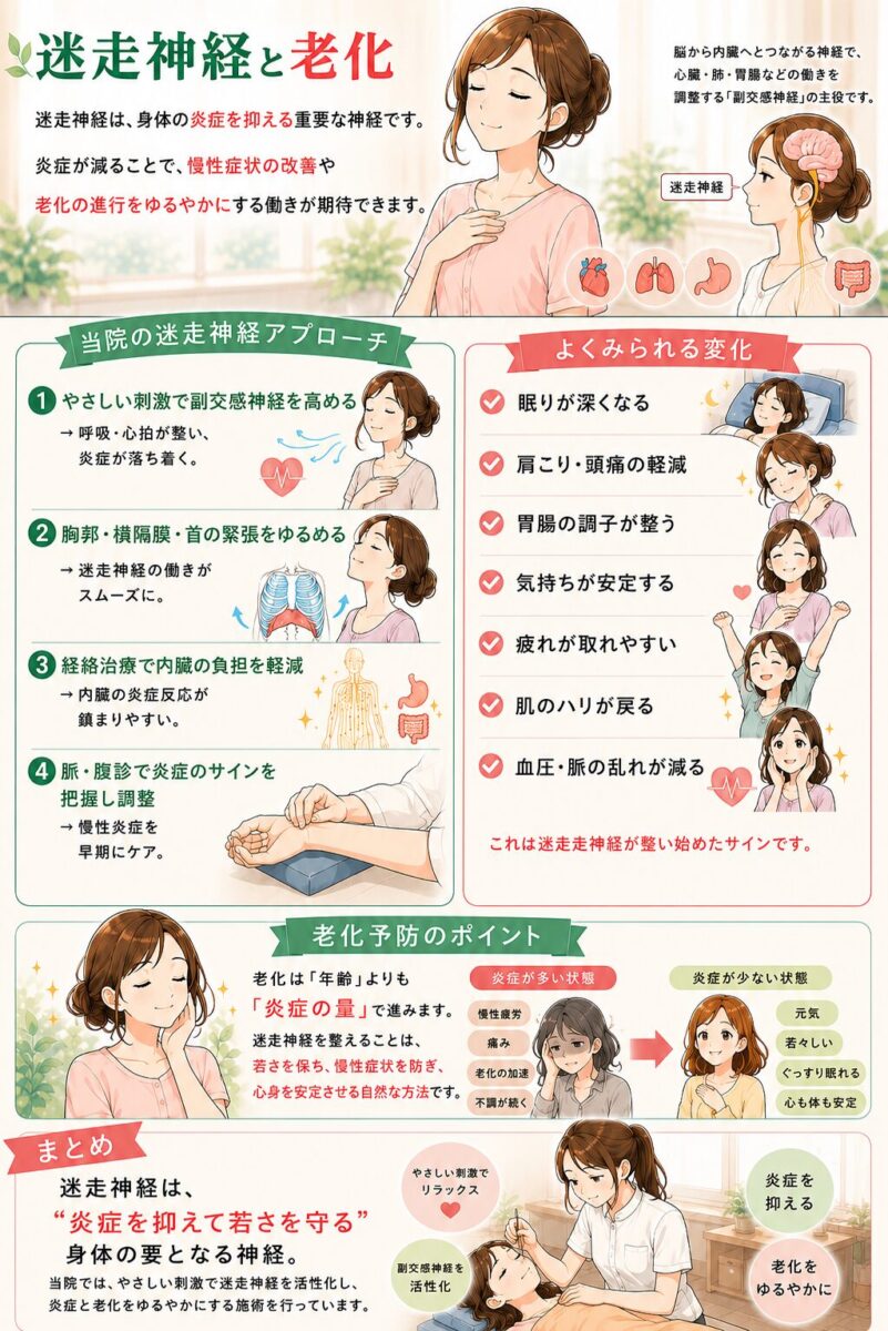 迷走神経と老化