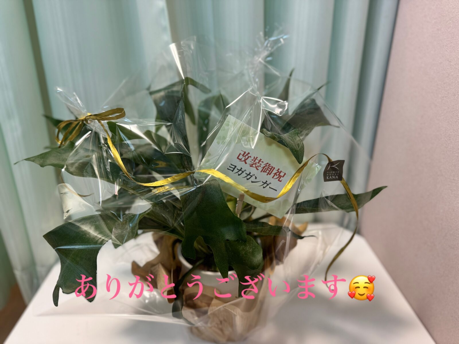 ヨーガガンガー