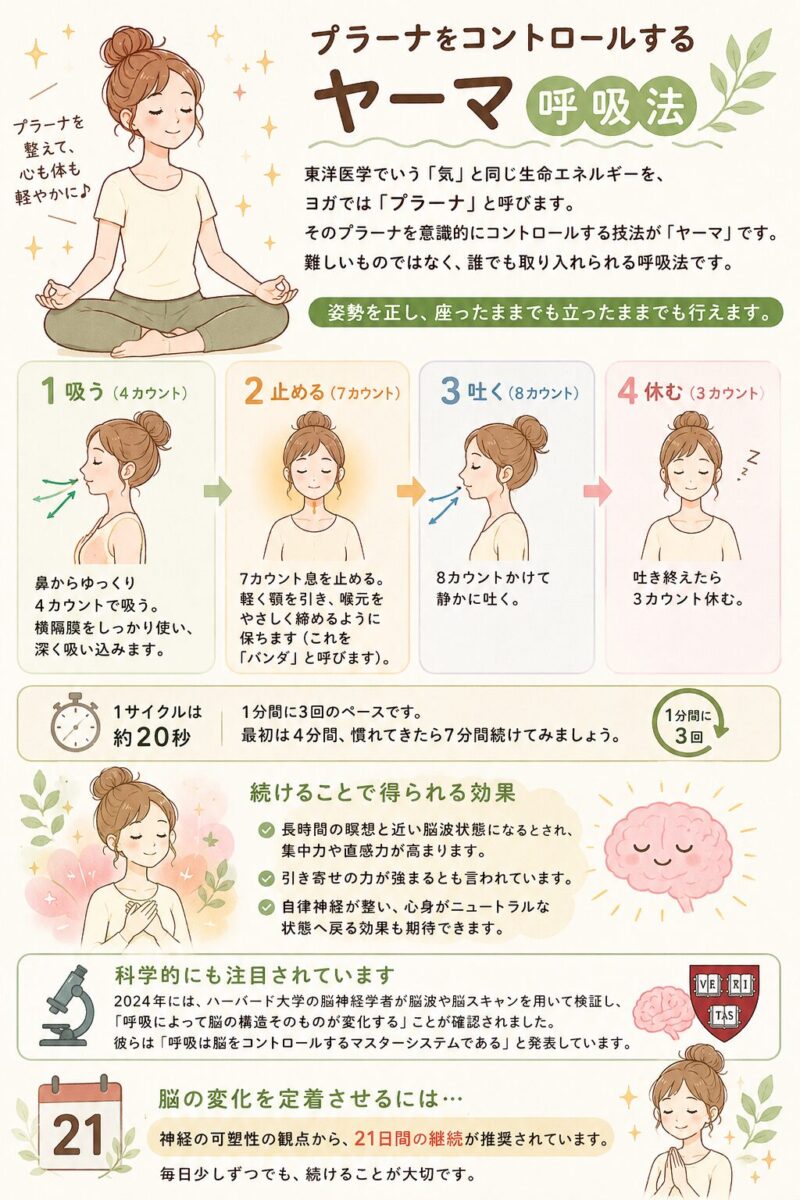 脳を整える20秒呼吸法：プラーナを高めるヤーマの実践」